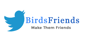 Birds Friend