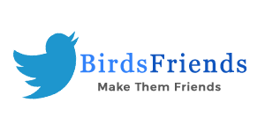 Birds Friend
