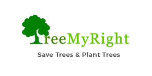Save Trees & Plant Trees